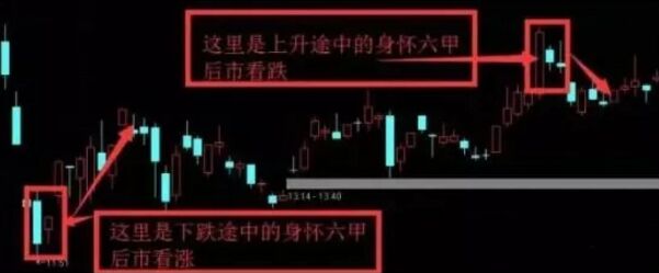 身懷六甲形態(tài).jpg