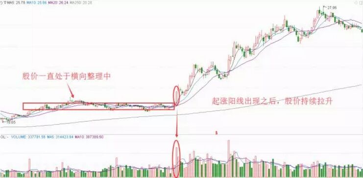 起漲陽線.jpg
